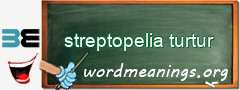 WordMeaning blackboard for streptopelia turtur